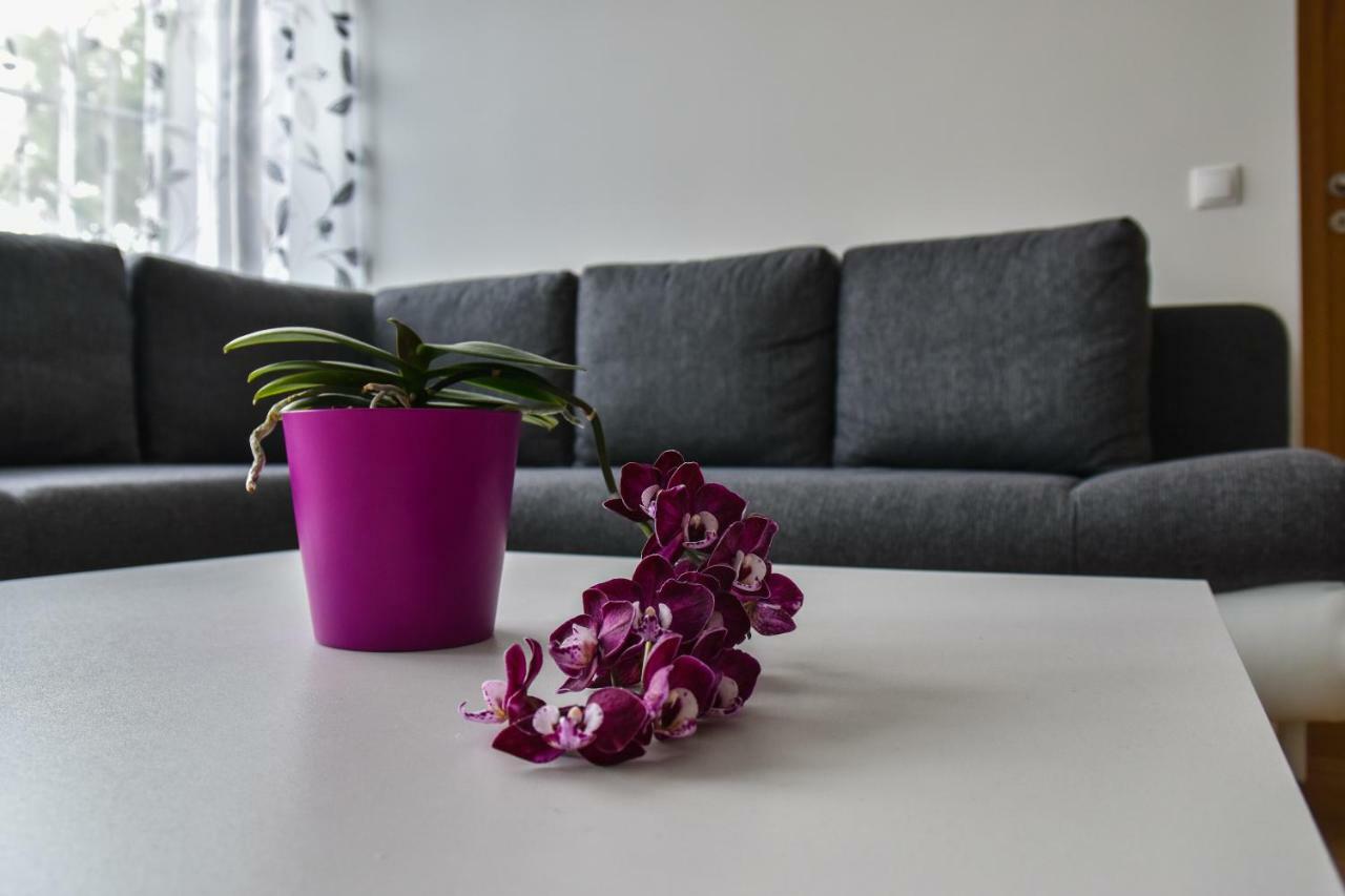 Mardi Downtown Apartment Reval Esterno foto